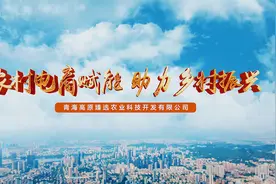 农村电商赋能 助力乡村振兴视频封面