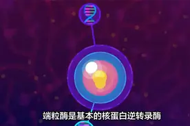 人类是否可以实现永生：本视频告诉你人类永生绝对不是空想！视频封面