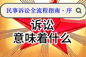 民事诉讼，意味着什么？我们又该如何看待和对待它？视频封面