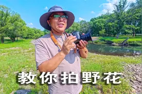 手把手教你拍摄小野花，能不能拍好关键在于多拍多看视频封面