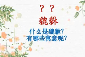 貔貅怎么读？什么意思？有什么寓意？