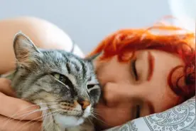 老人说猫靠近你是前世的缘分，前世缘今生猫揭秘猫与人的不解之缘