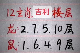 12生肖适合住的楼层视频封面