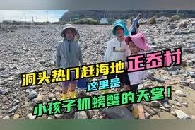 温州洞头很适合带娃的赶海地正岙村，这里是小朋友抓螃蟹的天堂！