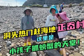 温州洞头很适合带娃的赶海地正岙村，这里是小朋友抓螃蟹的天堂！