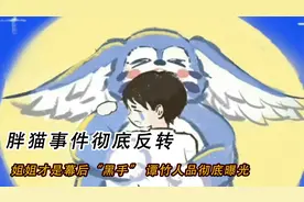 胖猫事件彻底反转，姐姐才是幕后“黑手”，谭竹人品彻底曝光视频封面