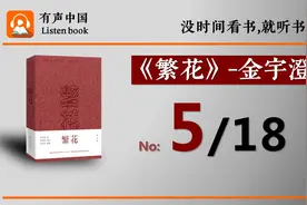 《繁花》 第5集/共18集   全网最高质量有声书 金宇澄 电视剧原著视频封面