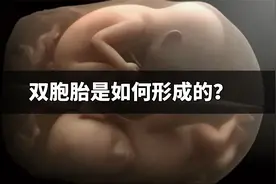 你知道双胞胎是如何形成的吗？视频封面
