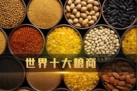 是谁在掌控着粮食价格？全球十大粮商排行榜出炉视频封面