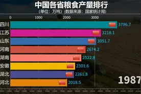 黑龙江给力！中国各省粮食产量排行，黑龙江不愧是我国第一大粮仓视频封面
