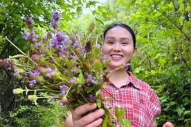 夏枯草，自制最简单的凉茶，清热解暑视频封面