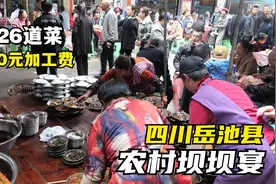 四川岳池县，农村传统坝坝宴，每桌80元加工费，看看有些什么菜视频封面