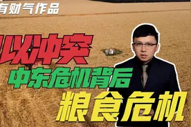 埃及粮食被西方控制，巴以冲突中东危机揭开了粮食危机的真相视频封面