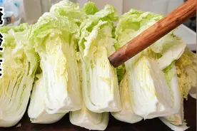 白菜便宜了，教你腌酸菜传统做法，自然发酵又酸又脆一周就能吃视频封面