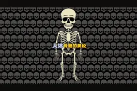 人类骨头是如何诞生的，为什么长在内部，而不是坚硬的外骨骼？视频封面