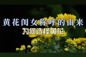 黄花闺女称呼的由来：为何选择黄花？贞洁与高尚的象征