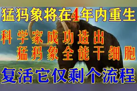 猛犸象即将重生？科学家造出猛犸象全能干细胞，复活仅需4年流程