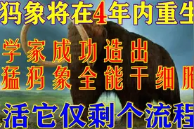 猛犸象即将重生？科学家造出猛犸象全能干细胞，复活仅需4年流程视频封面
