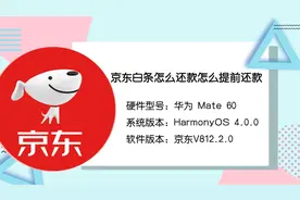 京东白条怎么提前还款