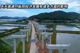 天天高速的建设对枞阳当地经济发展的影响视频封面