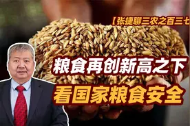 【张捷聊三农之百三七】粮食再创新高之下看国家粮食安全视频封面