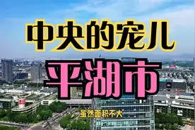 百强县之浙江平湖市——中央的宠儿