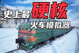 我在游戏里学会了开火车视频封面