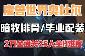 【魔兽世界】WLK奥杜尔暗牧最强排骨配装 约等于不花钱打通25H视频封面