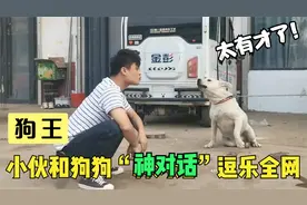 江苏小伙和狗“神对话”逗乐全网，狗子气到跳脚：你在狗叫什么！