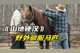 山地人驯服野马视频封面