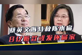 蔡英文拟特赦陈水扁，8亿赃款发还扁家？陈水扁回应20字，太离谱视频封面