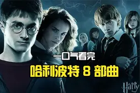一口气看完【哈利波特1-8部曲】魔法冒险永不停息|经典电影推荐视频封面