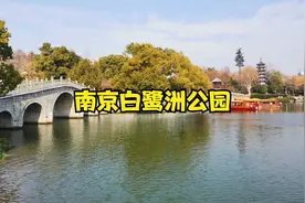 江苏5A景区南京白鹭洲公园景区徒步讲解白鹭洲公园旅游打卡视频封面