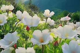 ☆經典的每日一字☆李艷秋「筱」视频封面