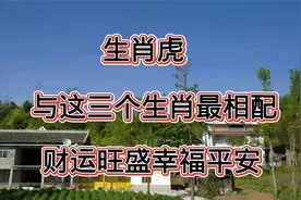 生肖虎与这三个生肖最相配，财运旺盛幸福平安.视频封面