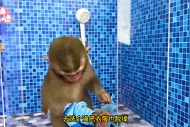 有趣的小猴子：小吃货比比馋嘴彩虹蛋糕，主人贴心给它准备视频封面