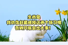 生肖兔，我劝你赶紧戒掉这两个坏习惯，否则月底会出大事！视频封面
