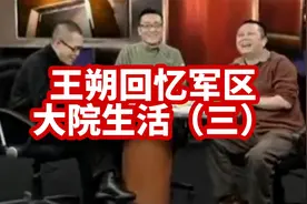 【锵锵三人行】王朔回忆军区大院生活（三）2007年 梁文道 窦文涛视频封面