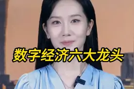数字经济六大龙头，你知道吗视频封面