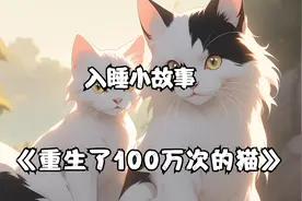 哄女朋友入睡的100个小故事视频封面