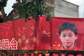 排面！全红婵成湛江宣传大使 为家乡打CALL 呼吁保护中华白海豚视频封面