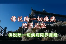 佛说除一切疾病陀罗尼经 李罕读诵