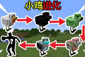 生存挑战：小鸡进化！每吃10个小麦进化一次！最后能进化成鸡王！视频封面