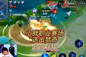 重庆狼队小胖在职业赛场选出梦奇，用行动为胖猫发声视频封面