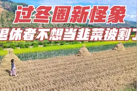 云南小众过冬旅居地～元江县，人少，环境好，物价低视频封面