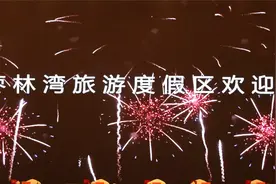 仪征枣林湾旅游度假区2024年招商引资动员大会视频封面