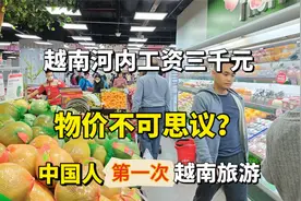 越南河内平均工资3000元，物价有些不可思议，实拍越南韩国超市视频封面