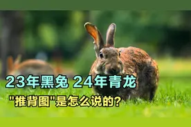 2024年甲辰青龙年 ~ 推背图第四十三章解析视频封面