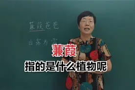 “蒹葭苍苍，白露为霜”这里的“蒹葭”指的是什么植物呢？#老师视频封面