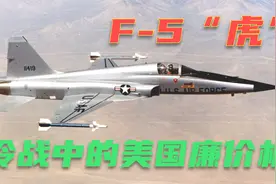 F-5“虎” 大洋彼岸的自由战士 冷战中的美国廉价战机视频封面